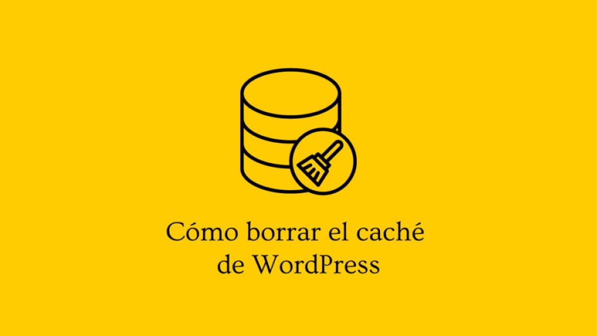Solucionar conflictos de caché en WordPress y navegador